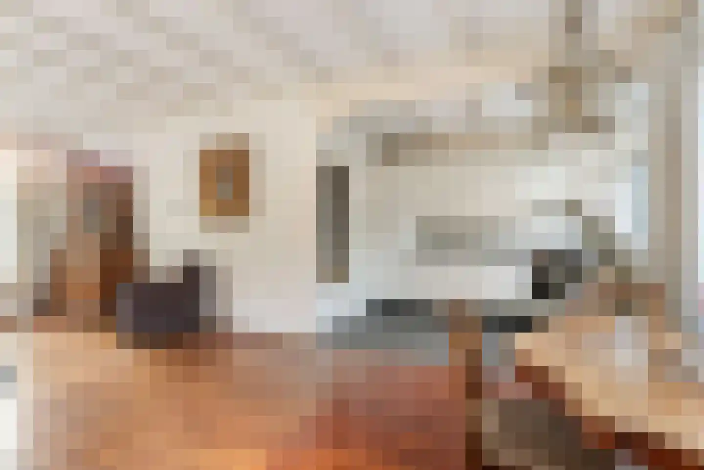 Waterlooweg 13 Austerlitz thumbnail 21