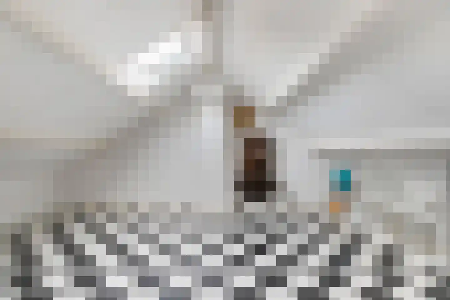Waterlooweg 13 Austerlitz thumbnail 38