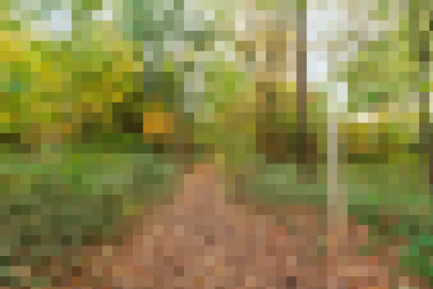 Waterlooweg 13 Austerlitz thumbnail 6