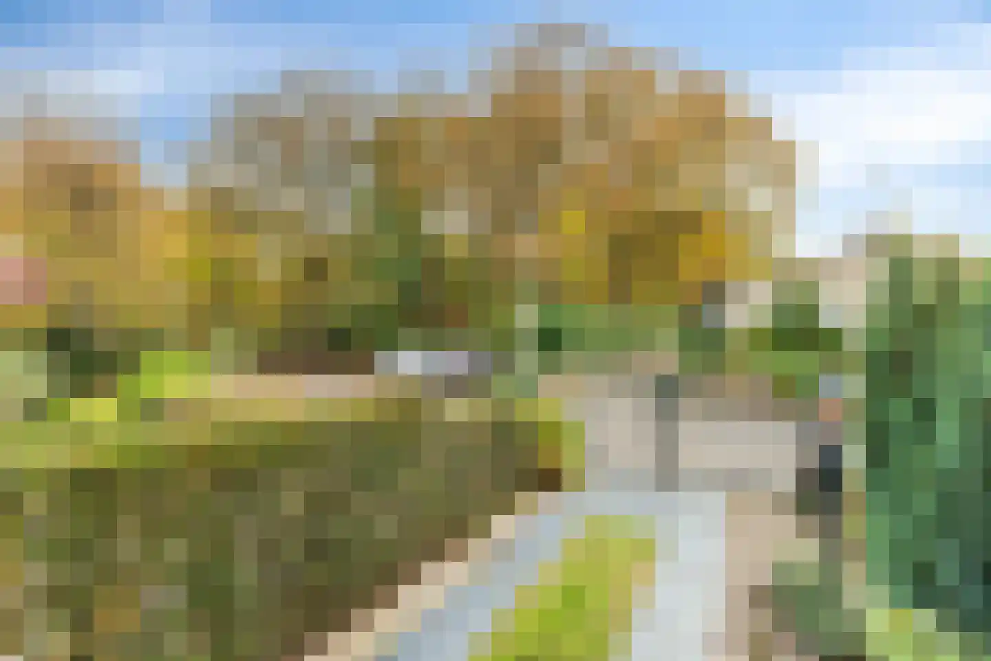 Waterlooweg 13 Austerlitz thumbnail 60