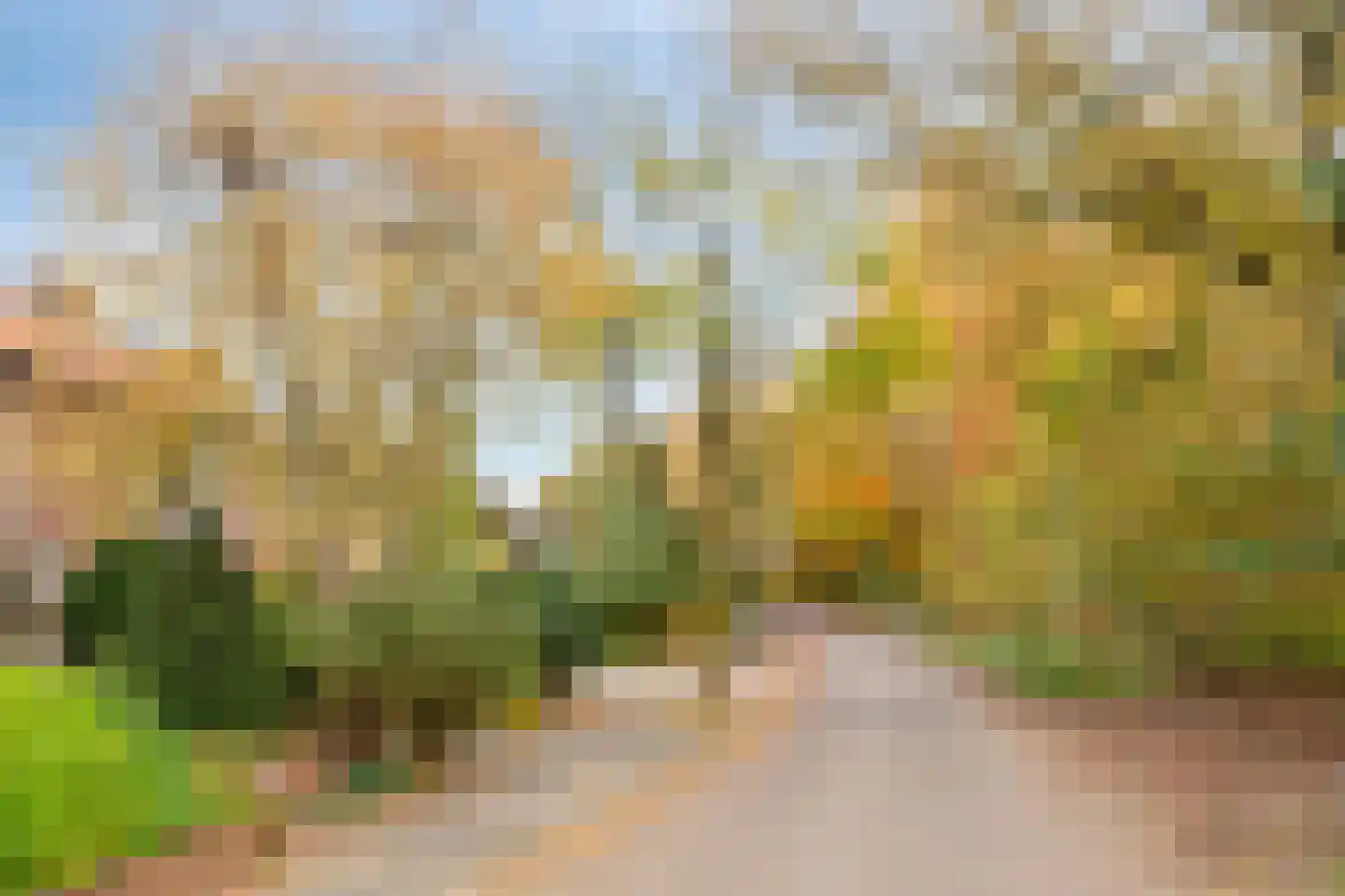 Waterlooweg 13 Austerlitz thumbnail 61