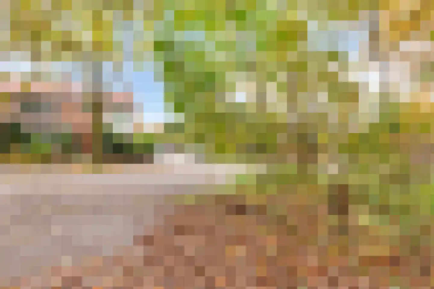 Waterlooweg 13 Austerlitz thumbnail 63