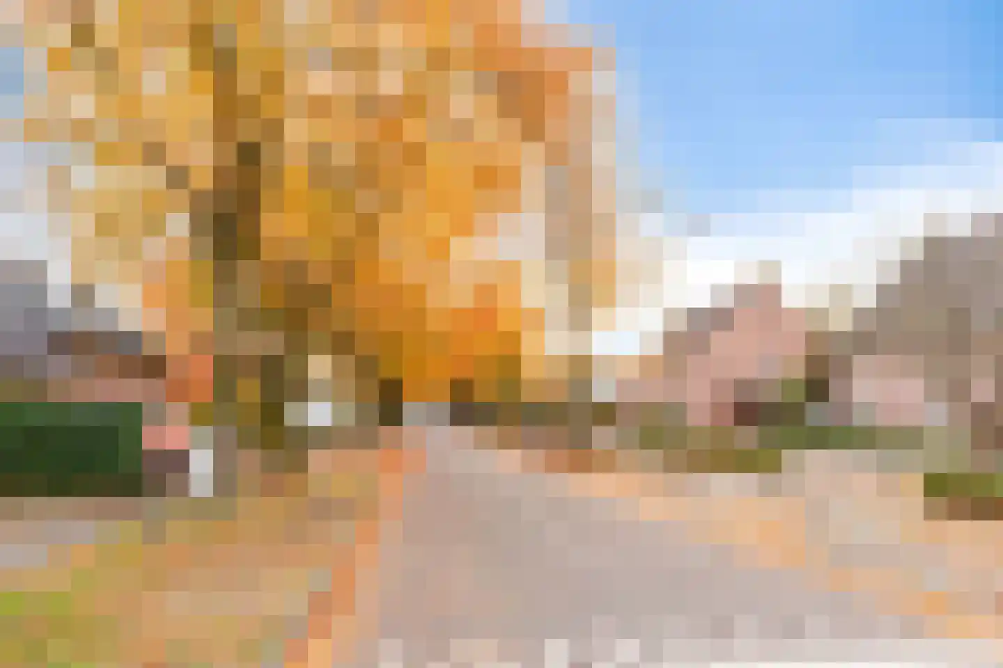 Waterlooweg 13 Austerlitz thumbnail 64