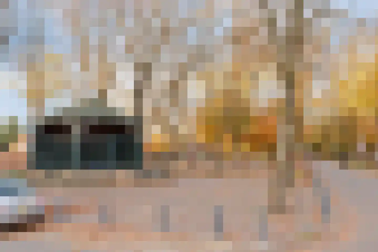 Waterlooweg 13 Austerlitz thumbnail 65