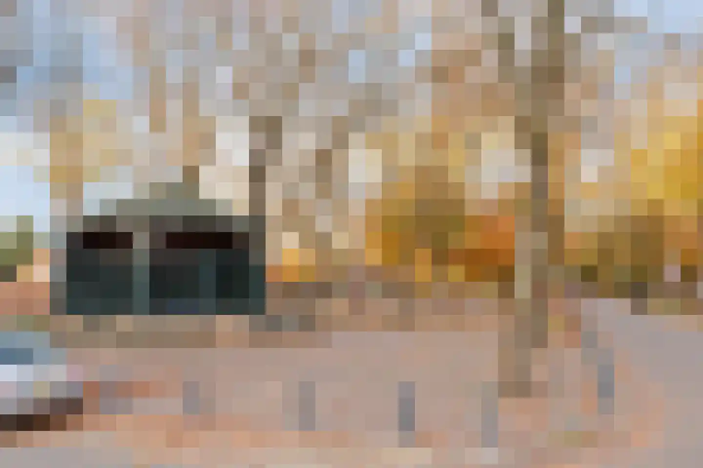 Waterlooweg 13 Austerlitz thumbnail 69
