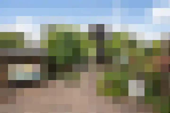 Waterlooweg 53 Austerlitz thumbnail 26