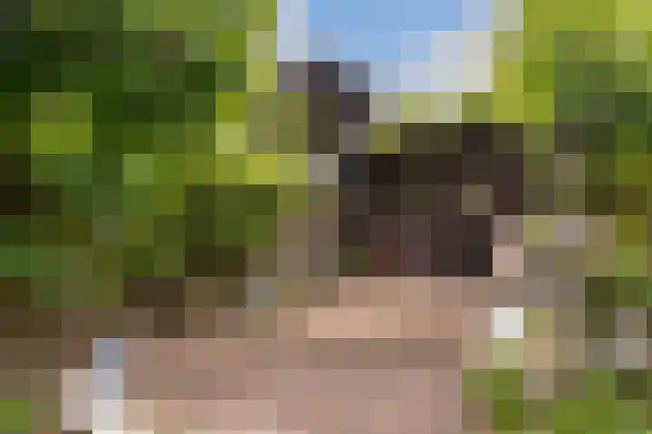 Waterlooweg 53 Austerlitz thumbnail 31