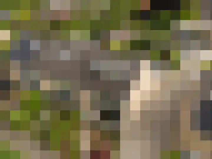 Waterlooweg 53 Austerlitz thumbnail 4