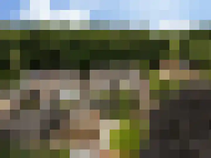 Waterlooweg 53 Austerlitz thumbnail 60