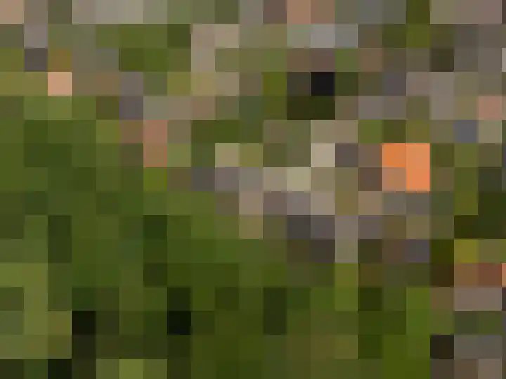 Waterlooweg 53 Austerlitz thumbnail 62