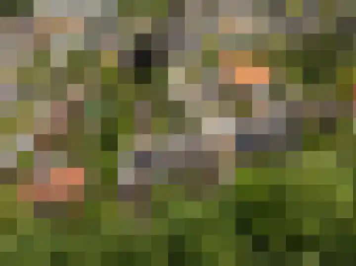 Waterlooweg 53 Austerlitz thumbnail 63