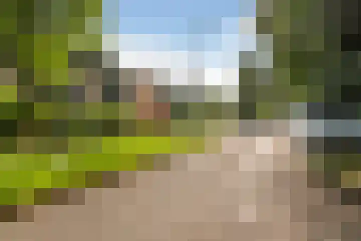 Waterlooweg 53 Austerlitz thumbnail 65