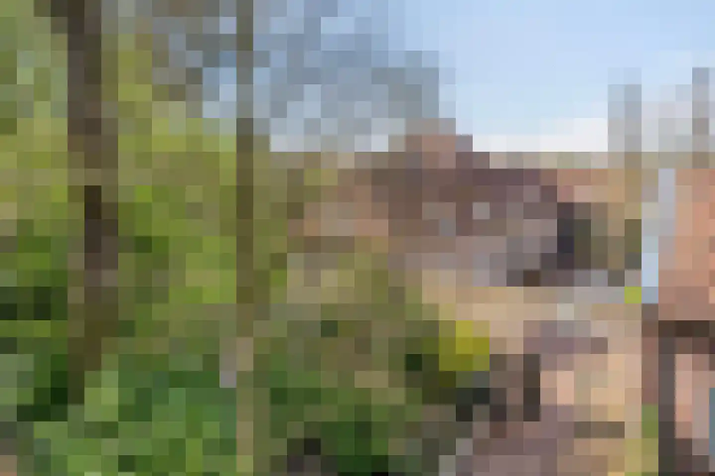 Waterloseweg 6 b Beesel thumbnail 12