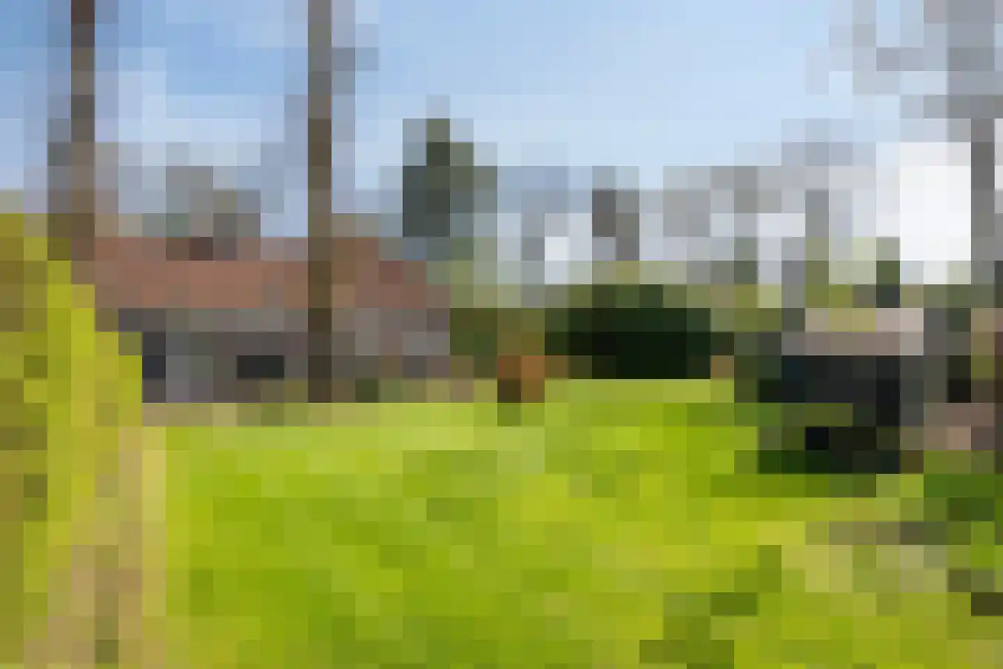 Waterloseweg 6 b Beesel thumbnail 4