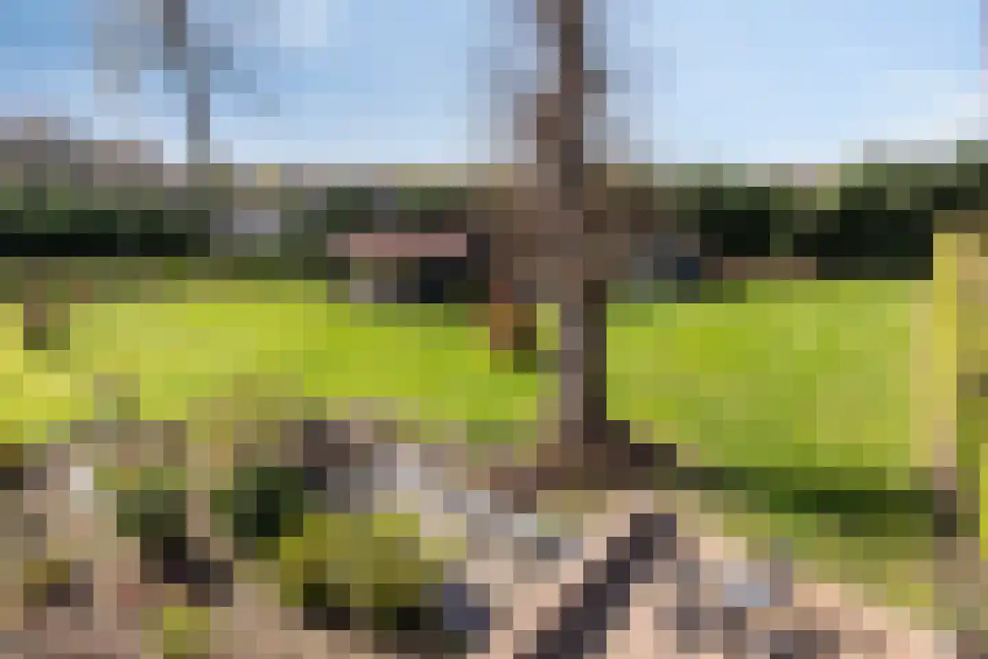 Waterloseweg 6 b Beesel thumbnail 52