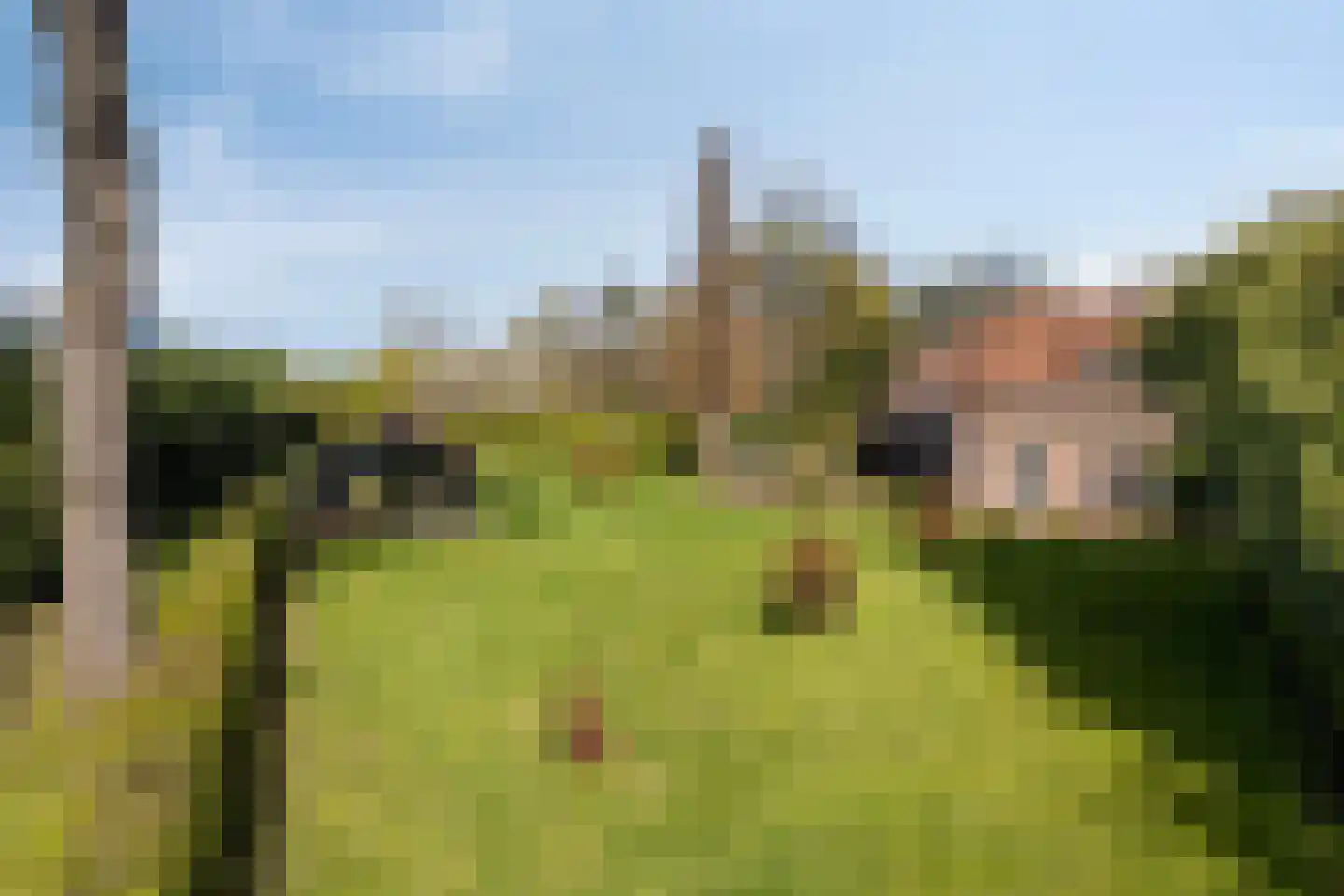 Waterloseweg 6 b Beesel thumbnail 55