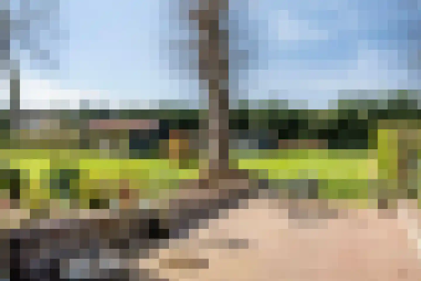 Waterloseweg 6 b Beesel thumbnail 57