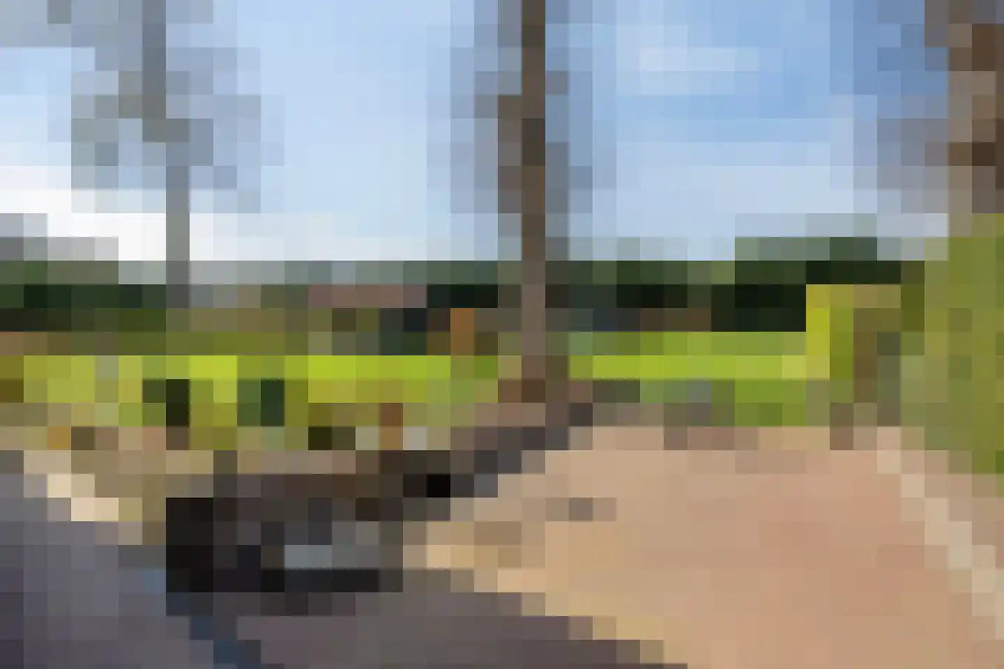 Waterloseweg 6 b Beesel thumbnail 58