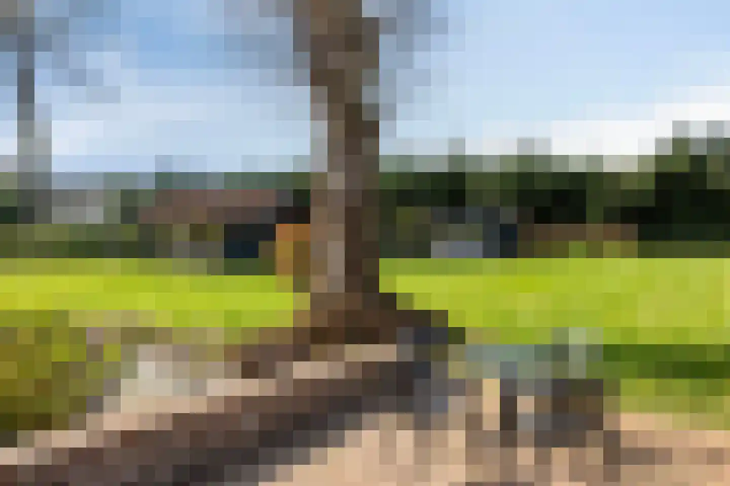 Waterloseweg 6 b Beesel thumbnail 59