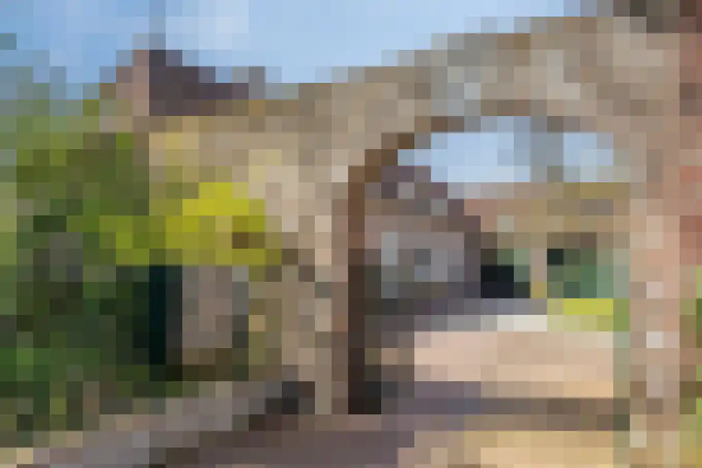 Waterloseweg 6 b Beesel thumbnail 6