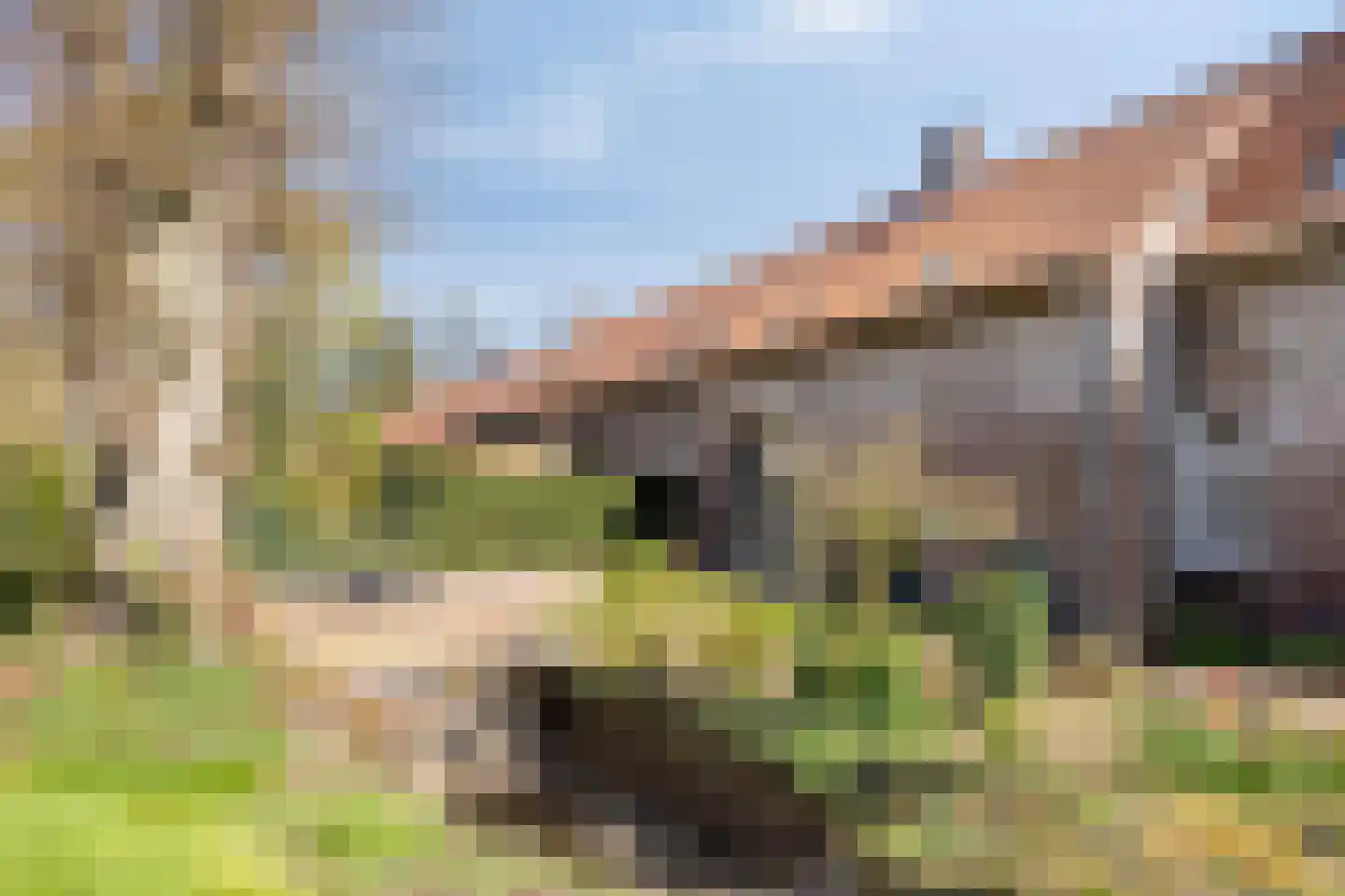 Waterloseweg 6 b Beesel thumbnail 63