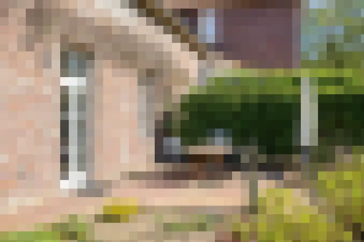 Waterloseweg 6 b Beesel thumbnail 65