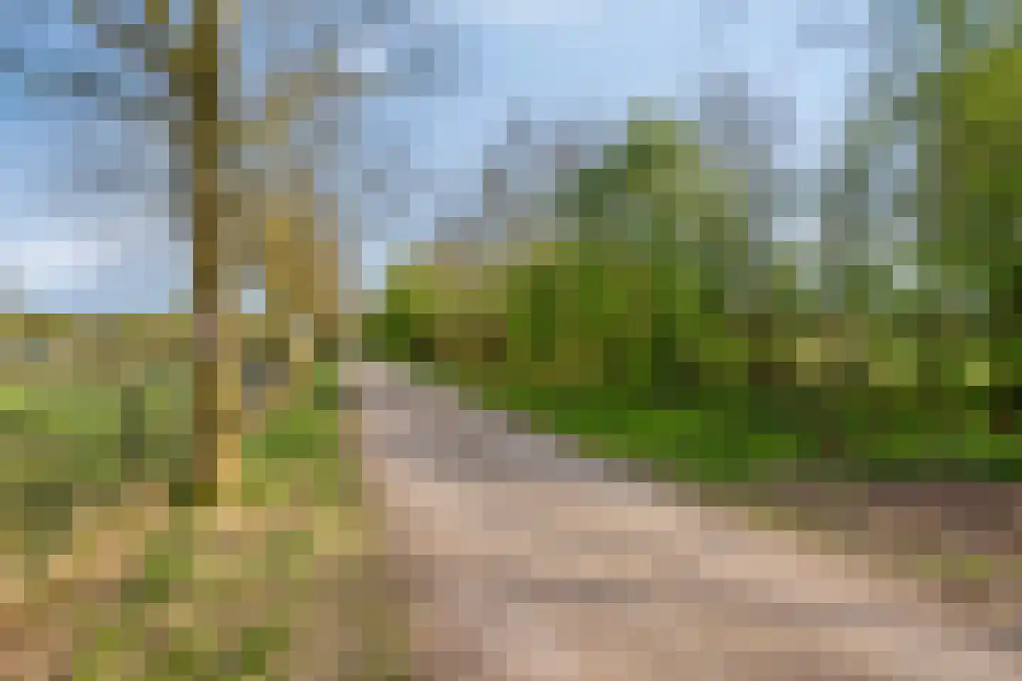 Waterloseweg 6 b Beesel thumbnail 78