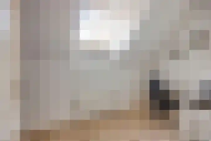 Waterloseweg 6 d Beesel thumbnail 30