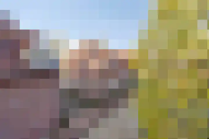 Waterloseweg 6 d Beesel thumbnail 38