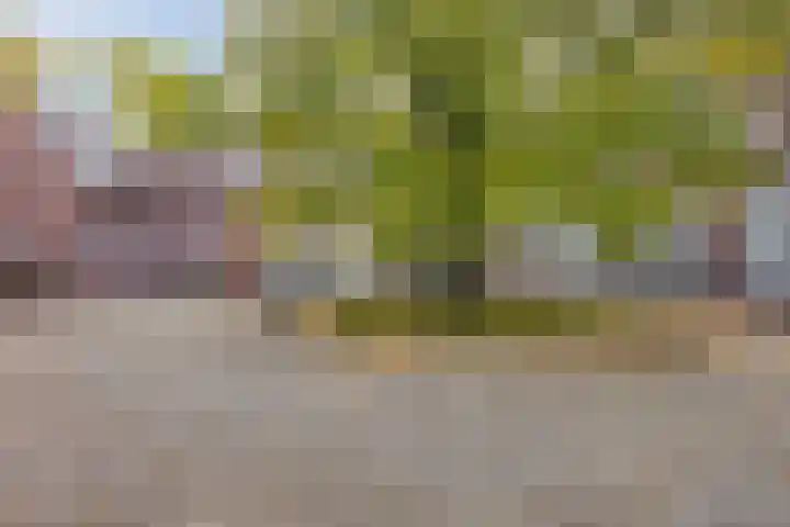Waterloseweg 6 d Beesel thumbnail 40