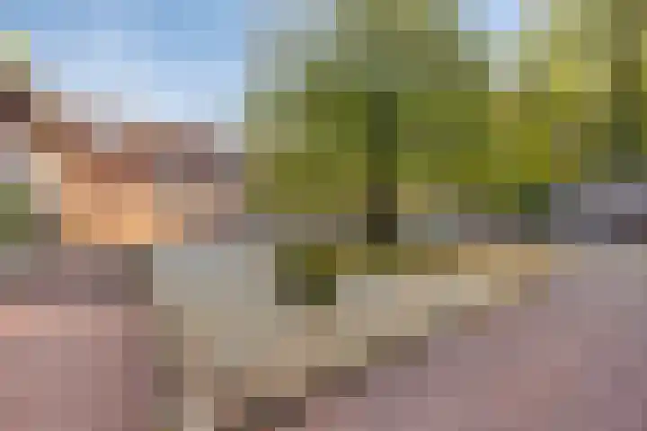 Waterloseweg 6 d Beesel thumbnail 41