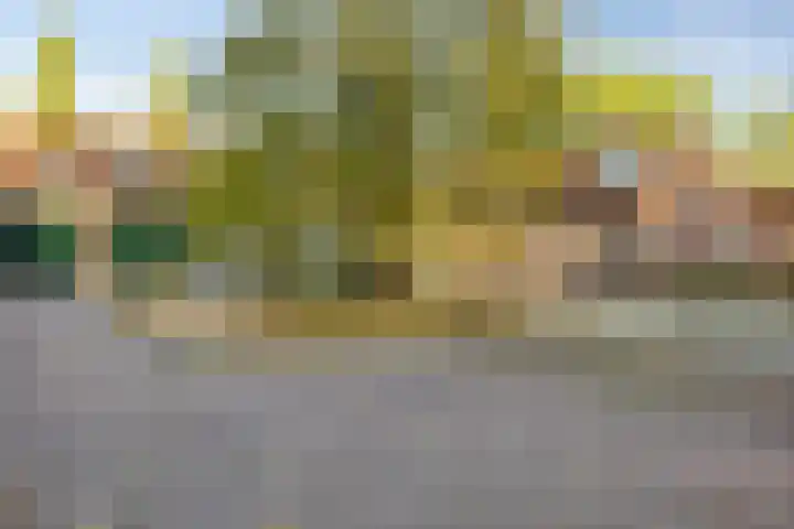 Waterloseweg 6 d Beesel thumbnail 42
