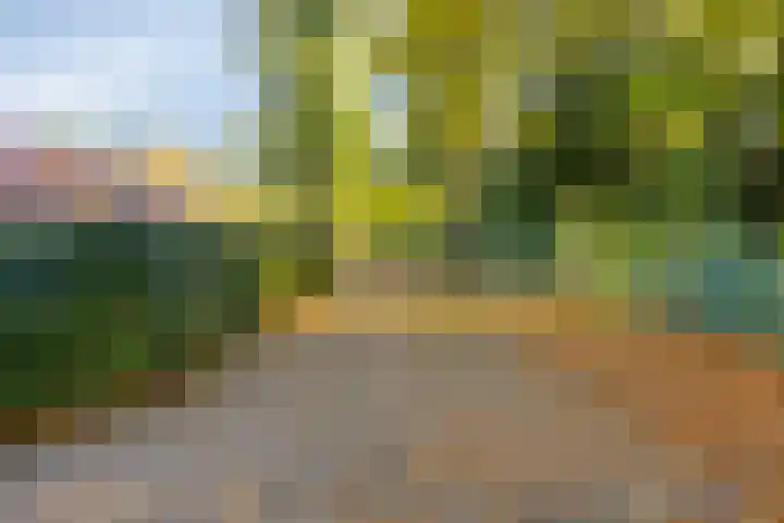 Waterloseweg 6 d Beesel thumbnail 43
