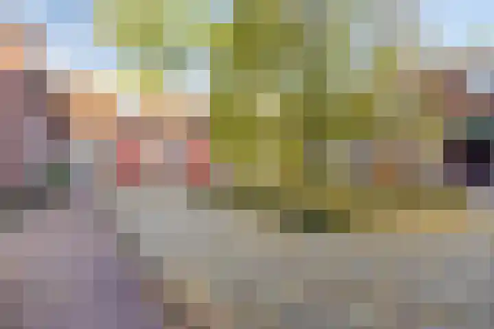 Waterloseweg 6 d Beesel thumbnail 46