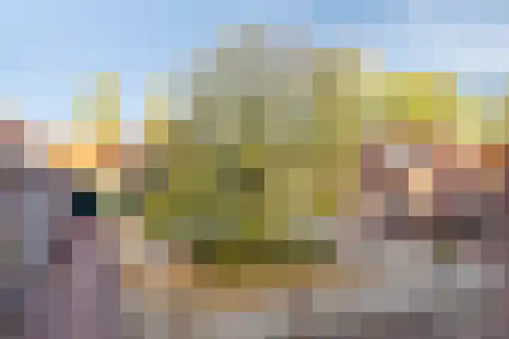 Waterloseweg 6 d Beesel thumbnail 48