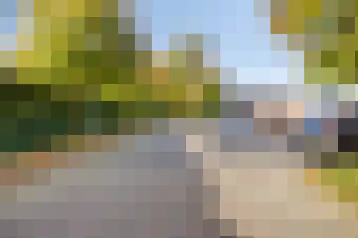 Waterloseweg 6 d Beesel thumbnail 50