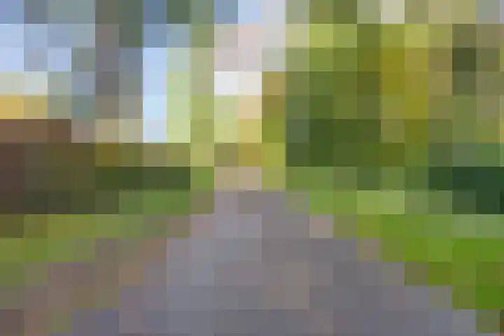Waterloseweg 6 d Beesel thumbnail 51