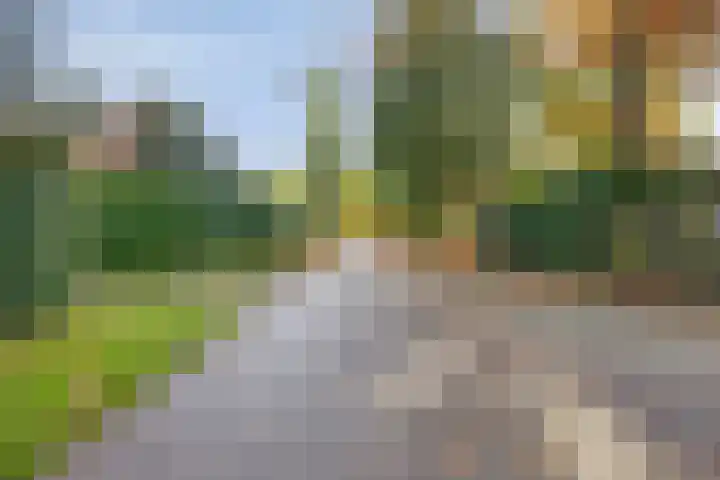 Waterloseweg 6 d Beesel thumbnail 52
