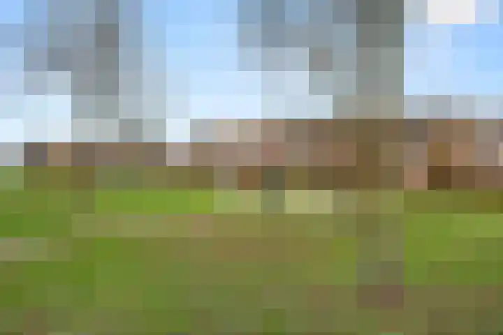 Waterloweg 30 1 Ede thumbnail 19