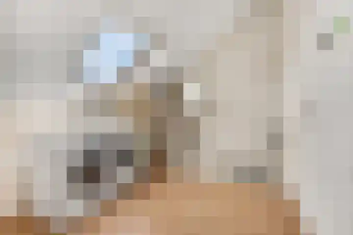 Waterloweg 37 Ede thumbnail 31