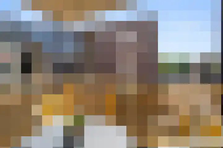 Waterloweg 8 Ede thumbnail 9