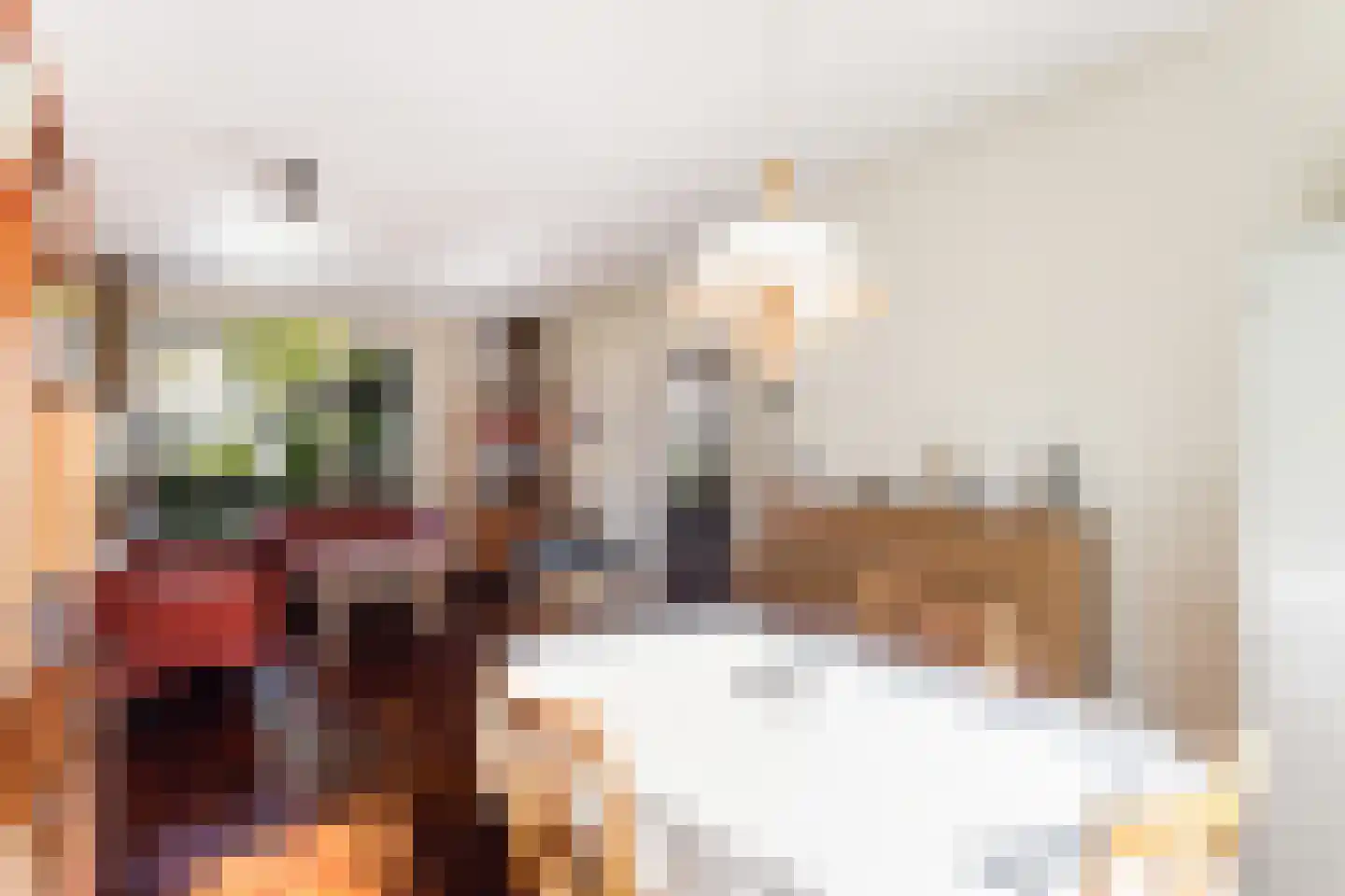 Waterlustlaan 2 Gouda thumbnail 12