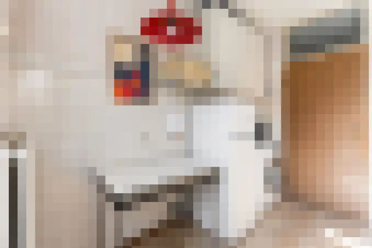 Waterlustlaan 2 Gouda thumbnail 16