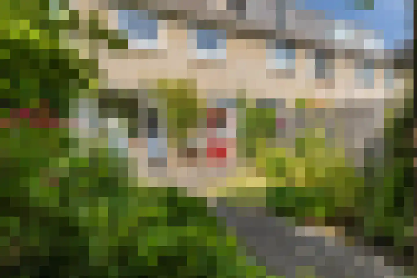 Waterlustlaan 2 Gouda thumbnail 19