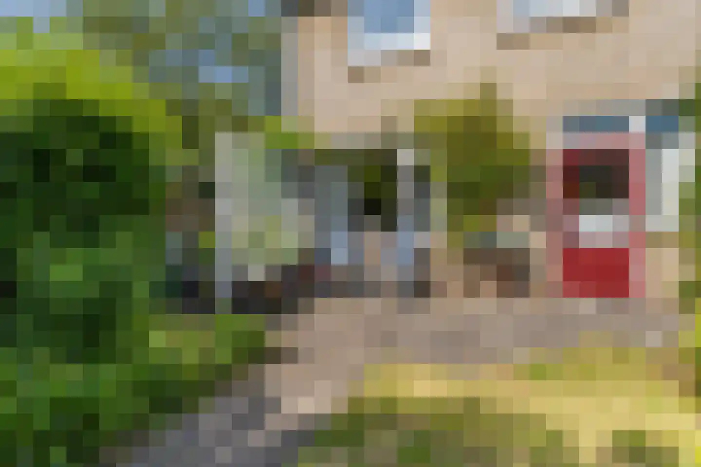 Waterlustlaan 2 Gouda thumbnail 20