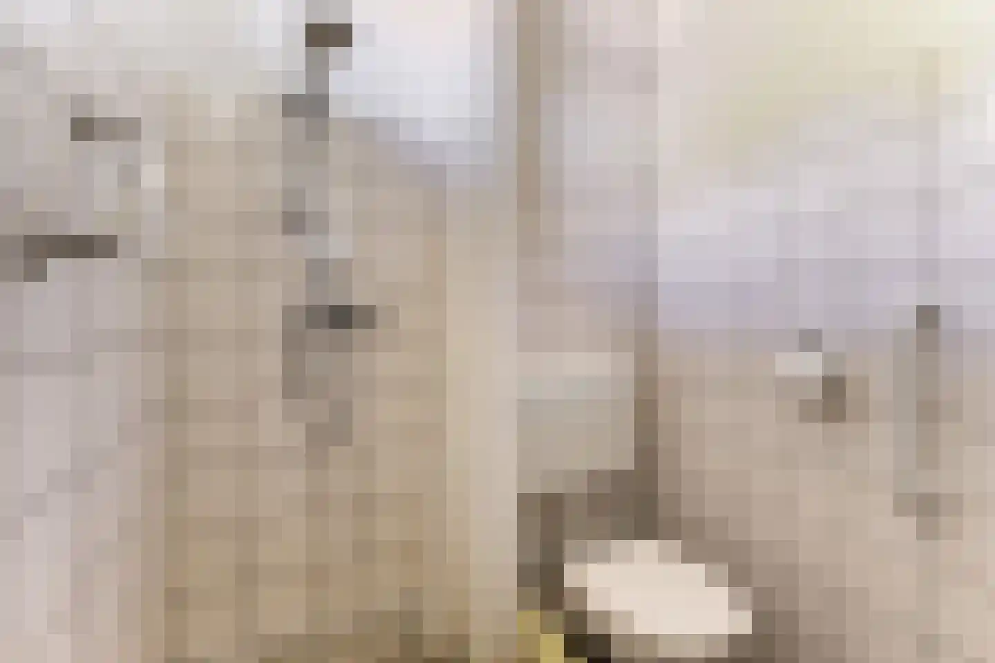 Waterlustlaan 2 Gouda thumbnail 34