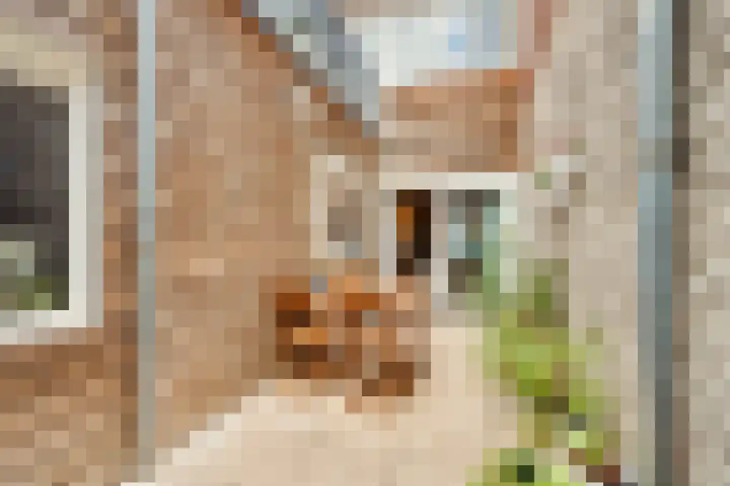 Watermaalpad 28 Amsterdam thumbnail 17