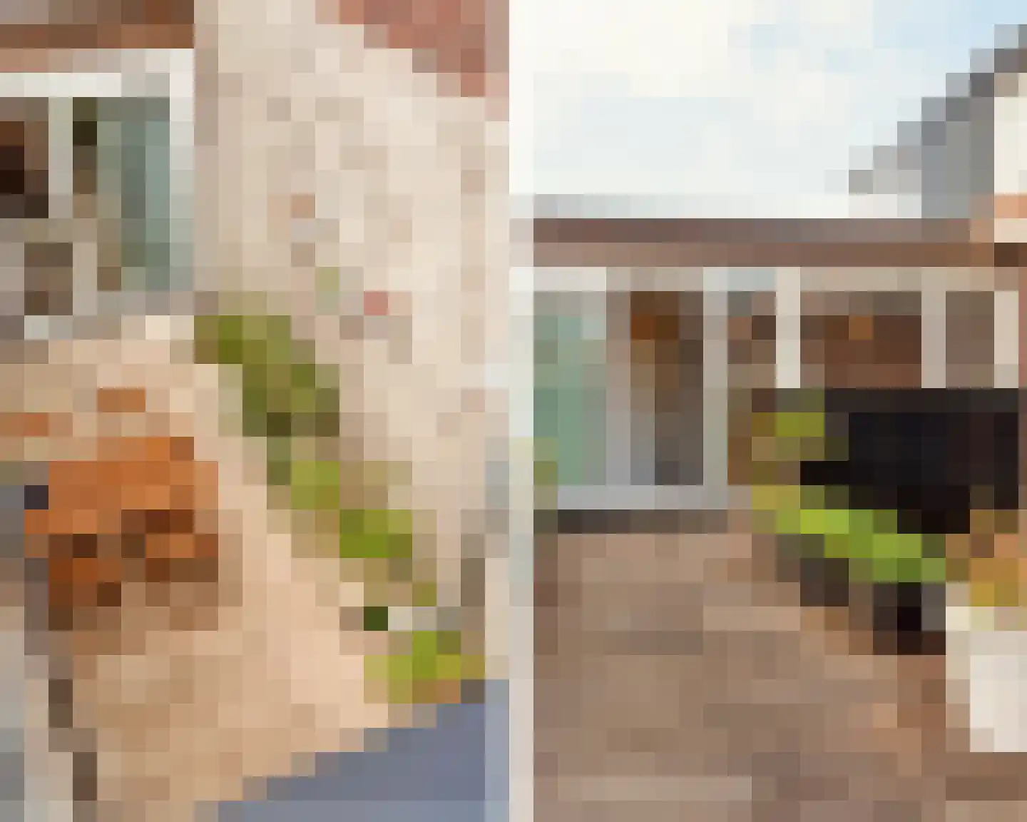 Watermaalpad 28 Amsterdam thumbnail 38