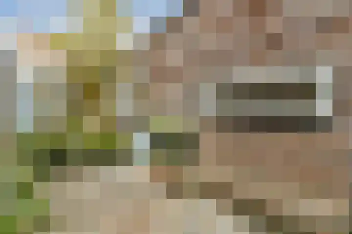 Watermaalpad 36 Amsterdam thumbnail 7