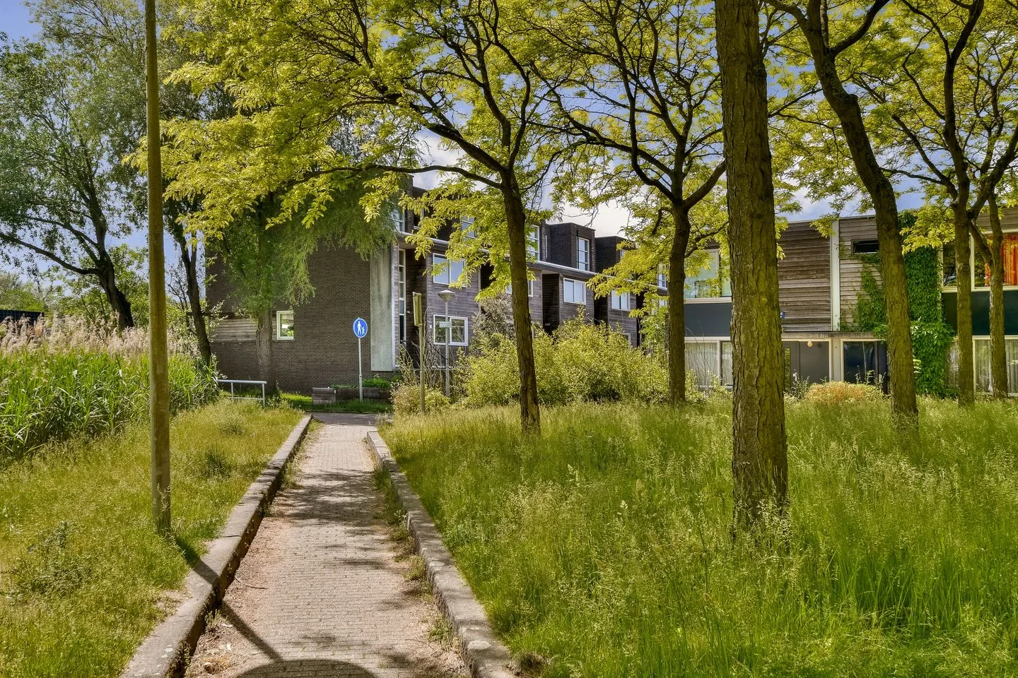 Watermaalpad 5 Amsterdam thumbnail 45